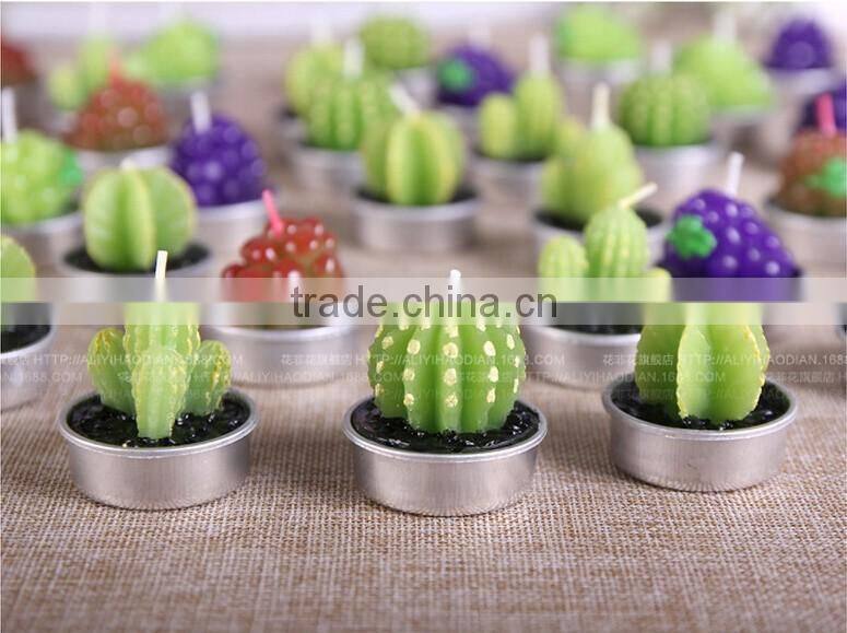 Cactus and Grape Plant Birthday Scented Candle