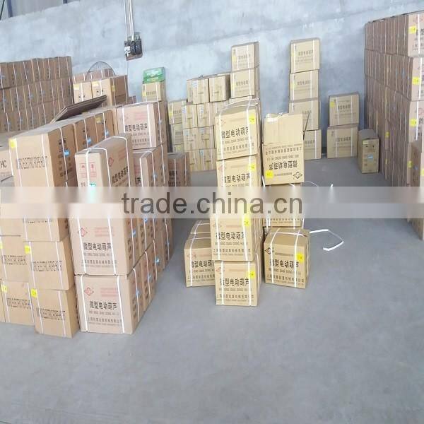 Mini Wire Rope Electric Hoist