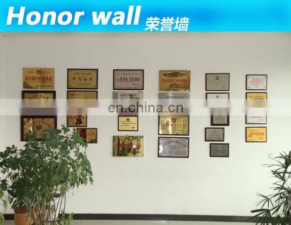 mens top quality down padded jacket in nylon cover