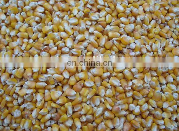 Paddy seed cleaner machine / grain screening machine