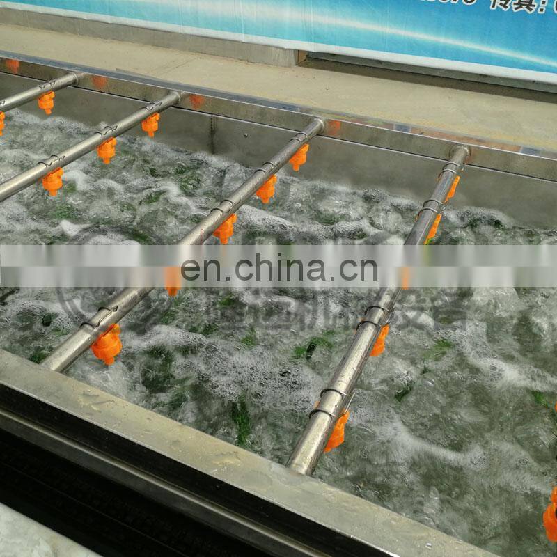 Commercial Small Fruit Bubble Washing Machine Tomatoes Pepper Bubble Washer for Fruit Vegetable