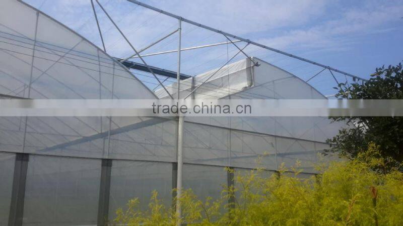 8M Span Width Agricultural Film Greenhouses