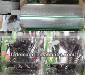 Plastic Perforated Transparent Film