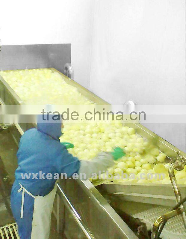 Industry fruit wash machine(surf type cleaner)