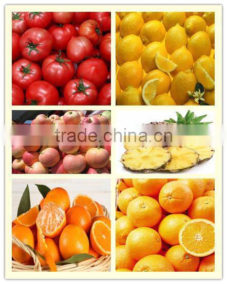 Factory direct automatic orange juicer machine price,fresh orange juice making machine