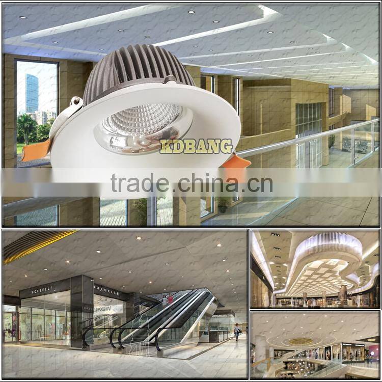 recessed cob ceiling down light led downlight 30w