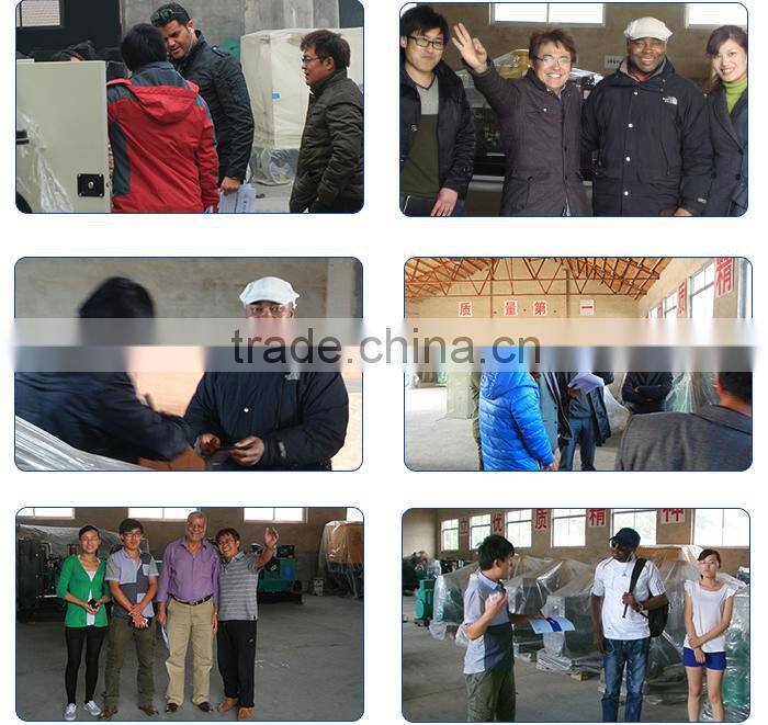 china famous brand weifang ricardo 3 phase 100kva diesel generator in labanon