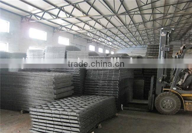 China professional cheap aviary welded mesh panel/20guage steel wire mesh panel