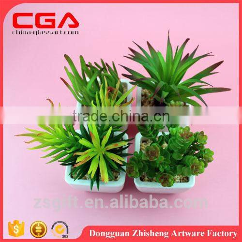 Artificial Artificial succulent plants tropical plants Plastic emulation succulent plant