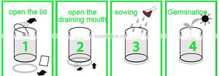 novelty gifts magic bean with logo, make magic beans, message growing bean