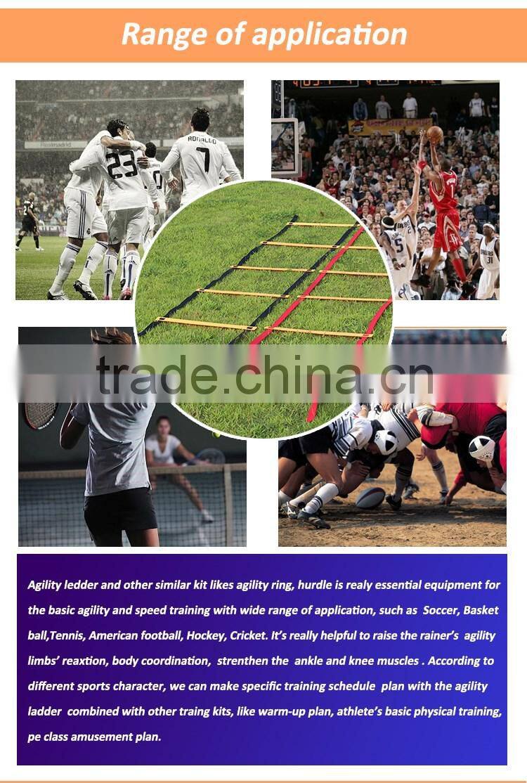 2016 Hot Selling adjustable agility ladder