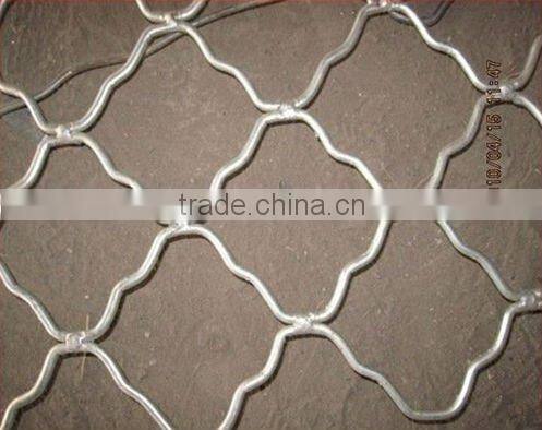 Beautiful Grid Wire Mesh(professional factory,competitive price)