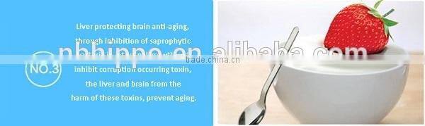 Home mini yogurt maker with 1L container /DIY yogurt electric machine