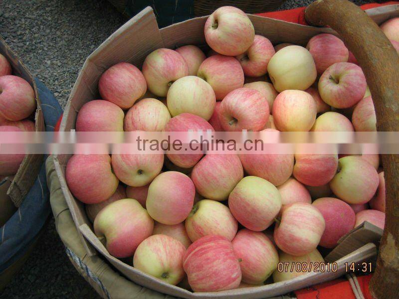 Fresh Royal Gala Apple