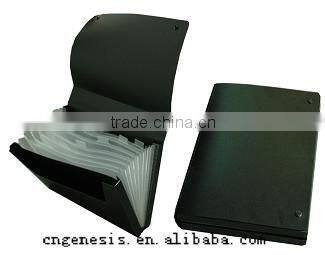 2010 New-Expanding File bag