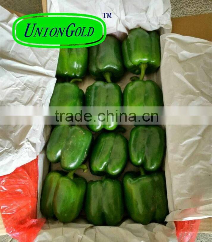 fresh bell pepper,red,yellow,green bell pepper
