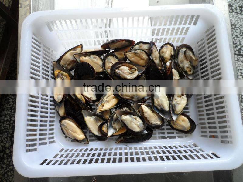 Frozen Cooked Mussel Meat Half-shell