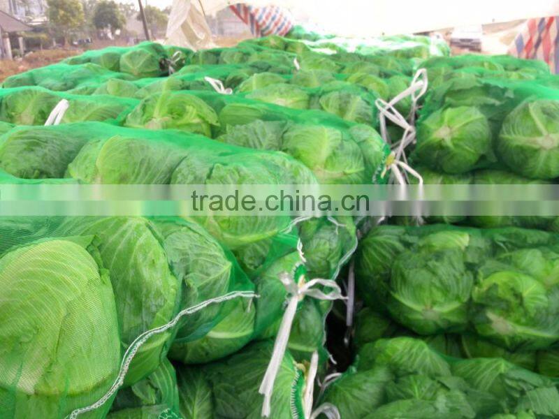 GIMEX VIETNAM FRESH CABBAGE CHEAP