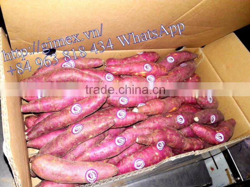 JAPAN YELLOW SWEET POTATO