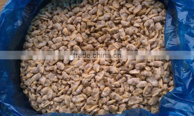 Frozen Seafood Boiled Clam Meat