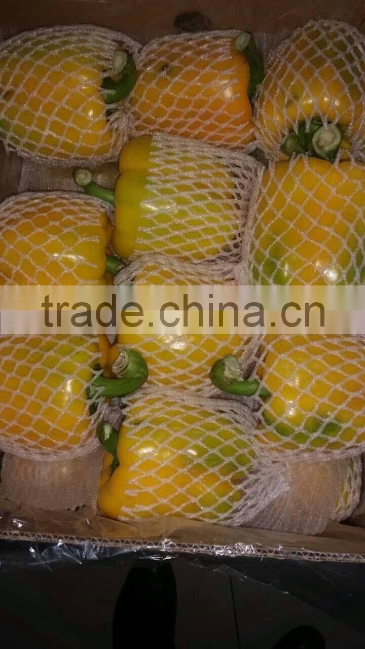 Fresh Red/Yellow Pepper