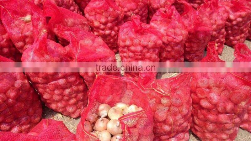 EGYPTION ONION farm fresh shallot onions   with great price promotion
