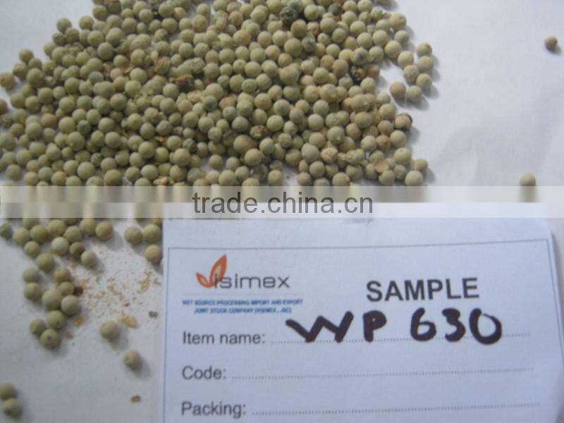 VIETNAM WHITE PEPPER (skype & yahoo: visimex08)