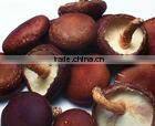 Healthy food dried Shiitake mushroom