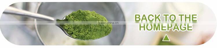 Oem Packing Organic Plant Matcha Powder Green Tea Extract Powder