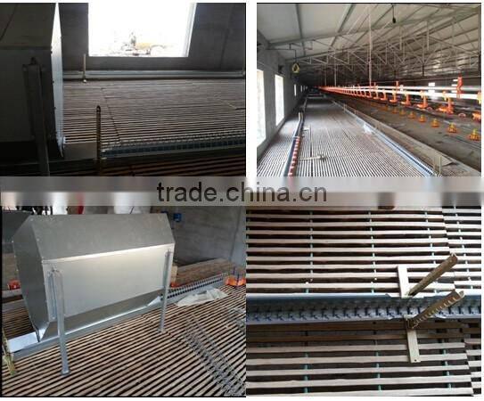 high quality low price automatic poultry house feeders for parents chicken