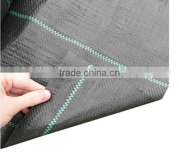 agricultural vegetable protective PP ground cover ,uv treated ,landscape pp woven fabric ,12*12