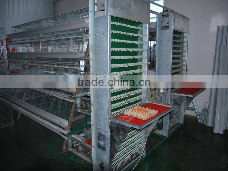 chicken cage for poultry farm for nigeria with best price