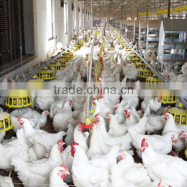 Huabo environment controlled chicken poultry raising equipment