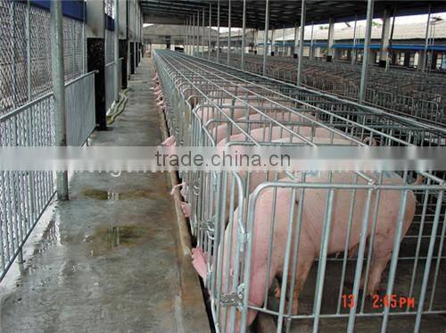 Pig farming equipment swine gestation stall