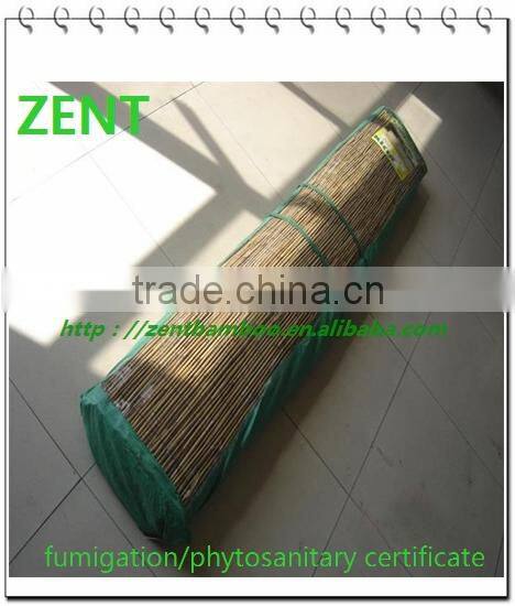 ZENT -64 natural reed fence for gardening