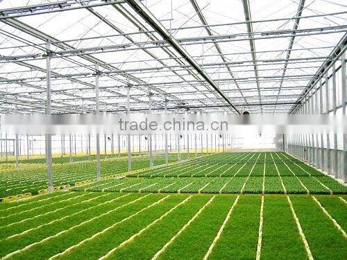 In external blinds greenhouse was arched