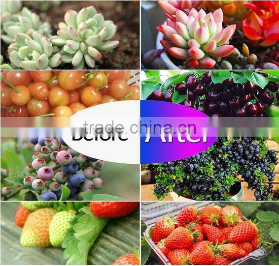 300W UFO Led Grow Light Full Spectrum Grow Lights Led Plant Lamps with UV/IR Led Bulbs for Indoor Garden