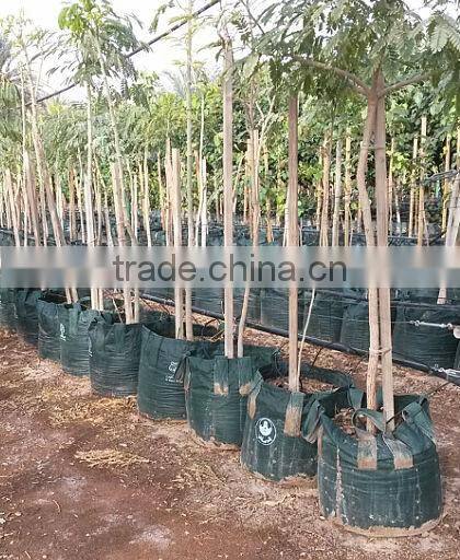 PP/PE Woven Tree Plant Bag With 2 Handles