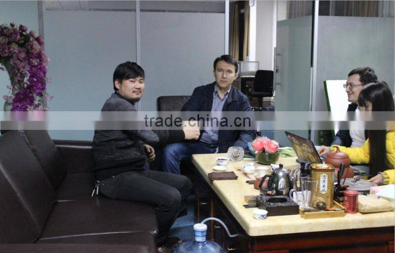 artificial grass,garden lawn