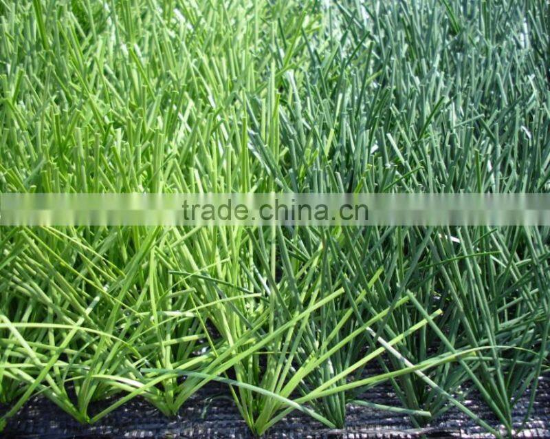 turf field fake lawn grass manufacture Artificial Landscaping Grass