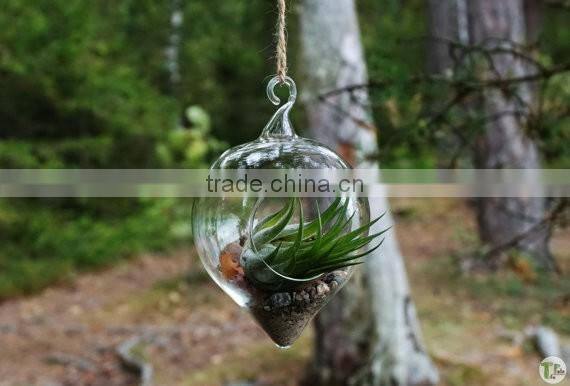 New design with high quality wholesale glass globle hanging terrarium
