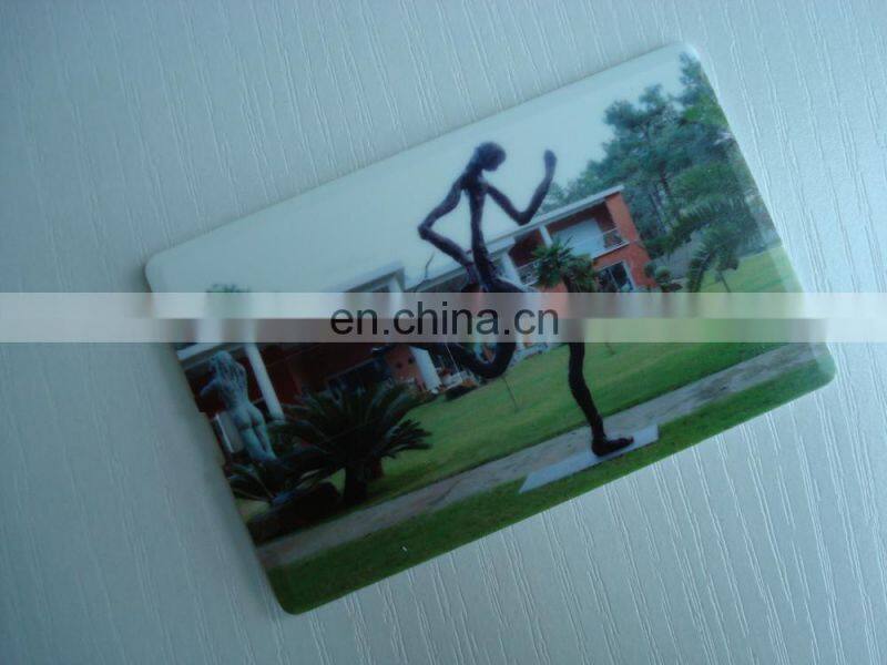 High quality 8GB plastic credit card usb flash with custom logo