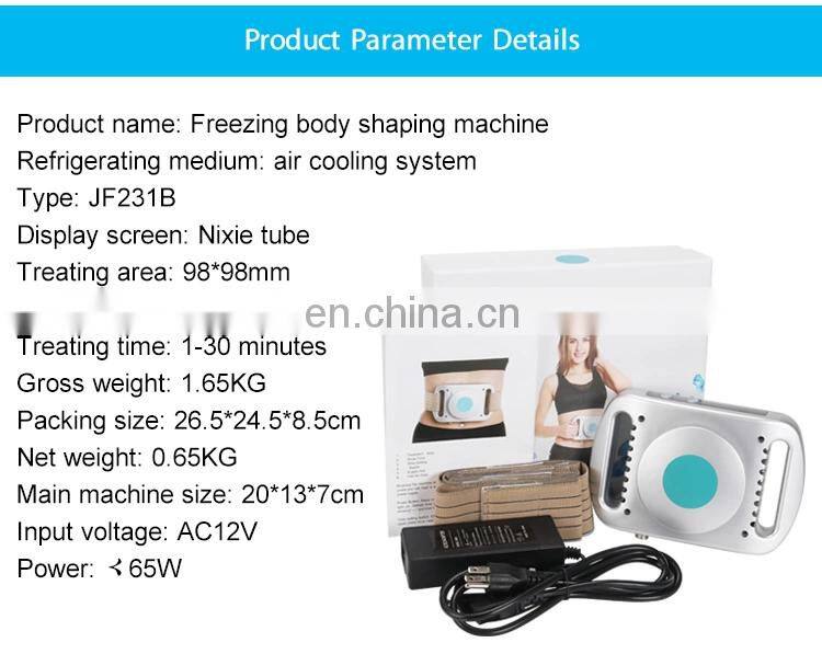 Home Use Portable Fat Freezing Body Slimming Machine For Body Shaping