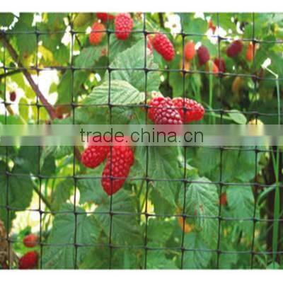 100% virgin plastic knitted ext strong anti bird net