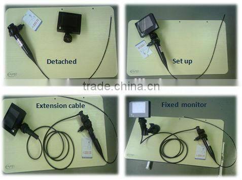 Little animal gastroscope bronchoscope3.8mm portable flexible reusable video veterinary endoscope