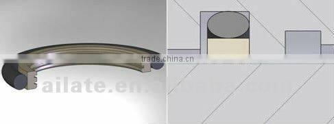 PTFE rotary seals (BRS)