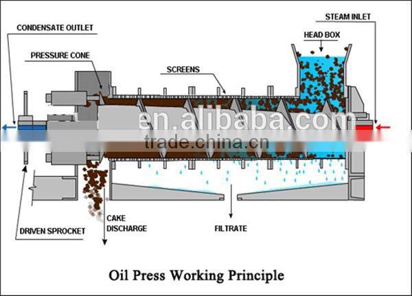 groundnut oil processing machine palm oil extraction machine oil mill machinery