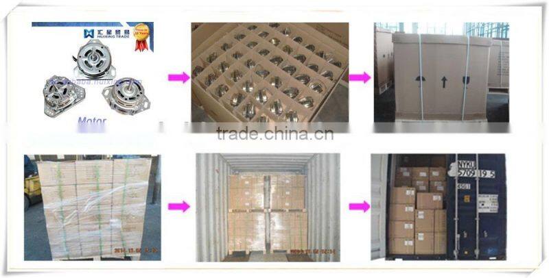 Washing Machine Motor