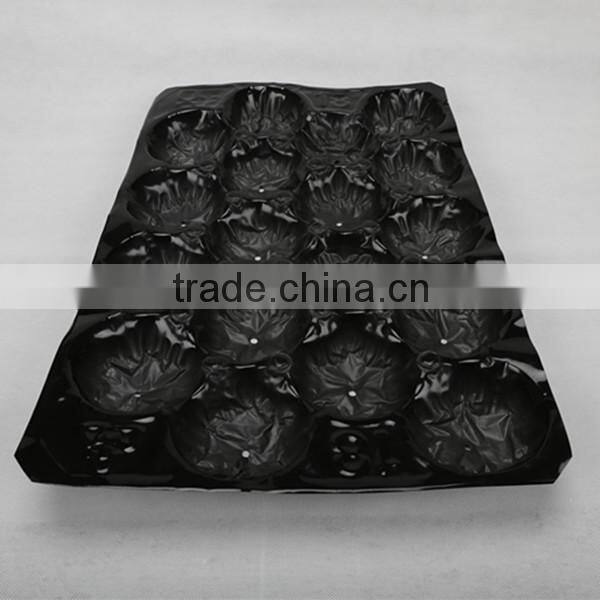 Perforated tomato plastic insert tray