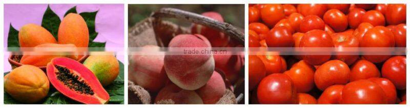 5 ton YXJ-5 Model high pressure spraying cleaner(Industrial fruits washer)